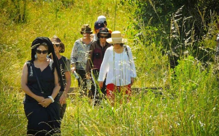 Atestiguando con Isha en la naturaleza desde la » I » Uruguay.