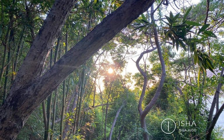 Soltar todo lo ilusorio, los miedos, el estrés; todo aquello que nos impide experimentar nuestra naturaleza verdadera, aquello que yo llamo amor-conciencia.