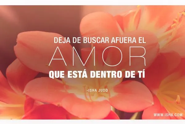 Frase del día