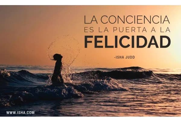 Frase del día