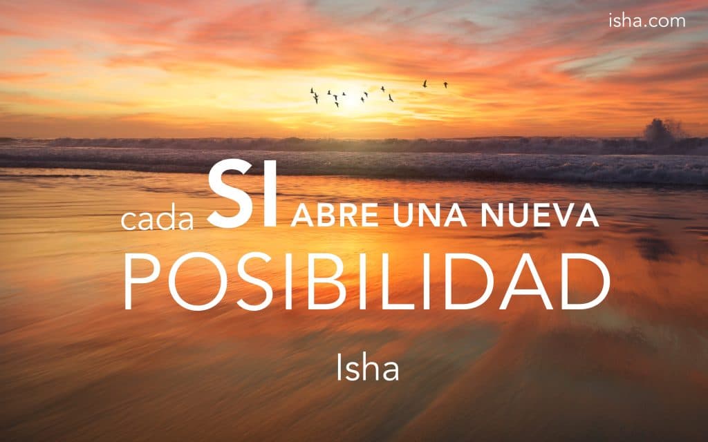 Frase del día