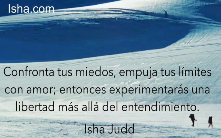 Frase del día