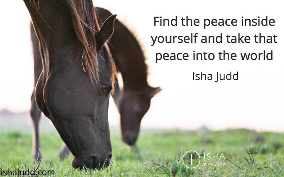 The reason we don’t live with clarity and peace