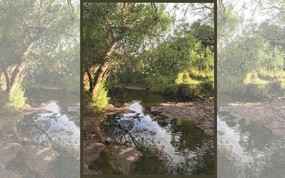 Once upon a time… there was a great river...