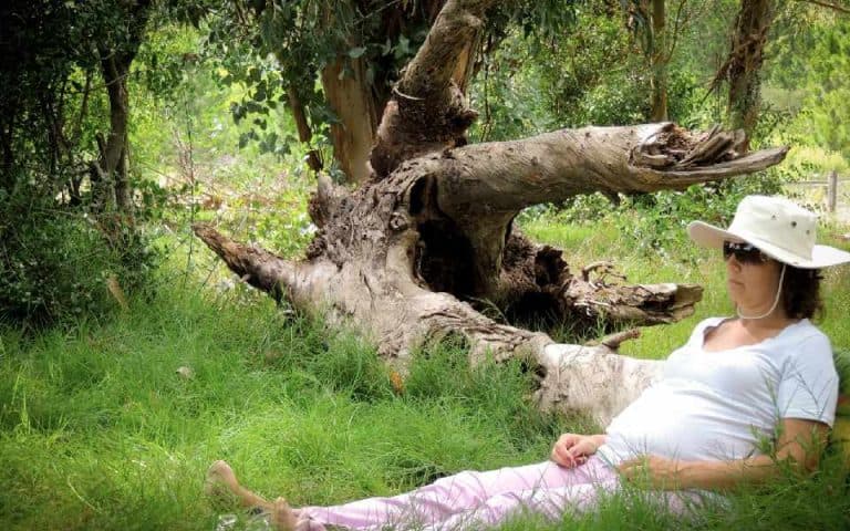 Compartiendo imágenes de otro día de Mega en el Centro Isha Uruguay. Hermosa Jornada en Olmue. Compartimos el cierre del grupo de las 8 semanas y un pequeño seminario para algunos de sus familiares y