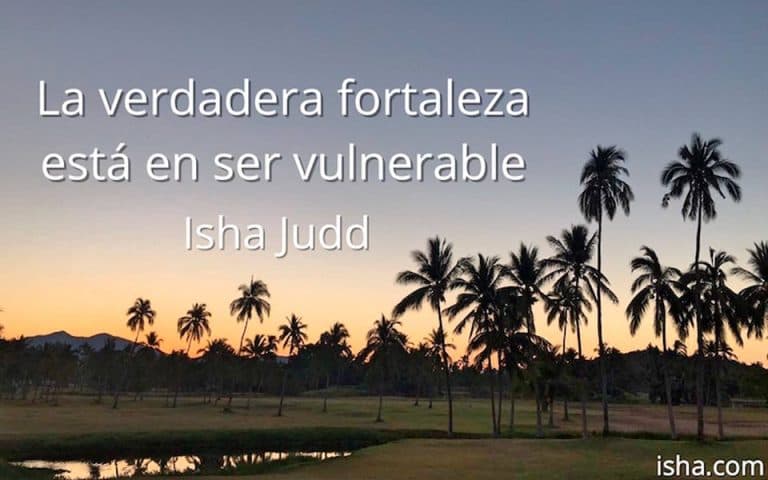 Frase del día