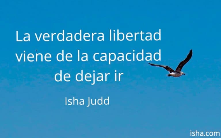 Frase del día