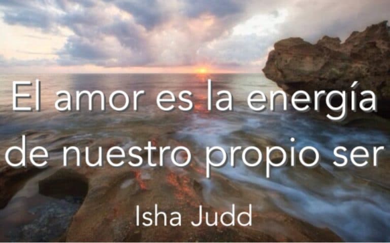 Frase del día