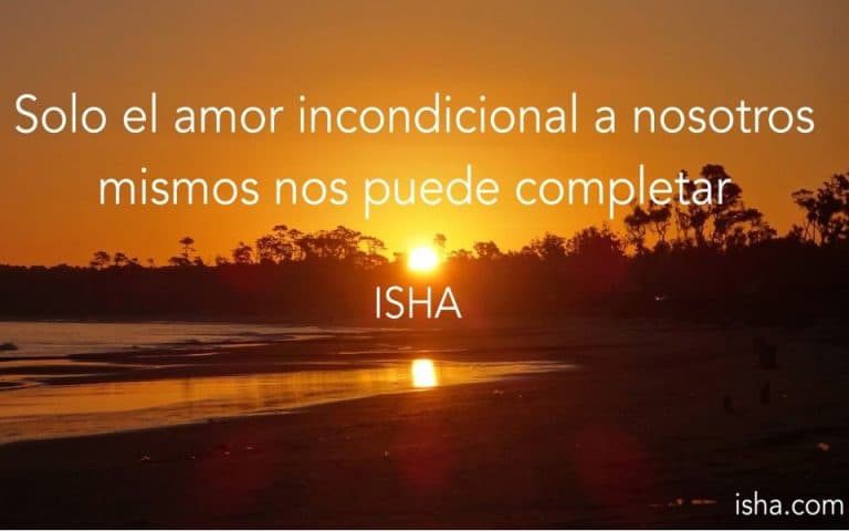 Frase del día