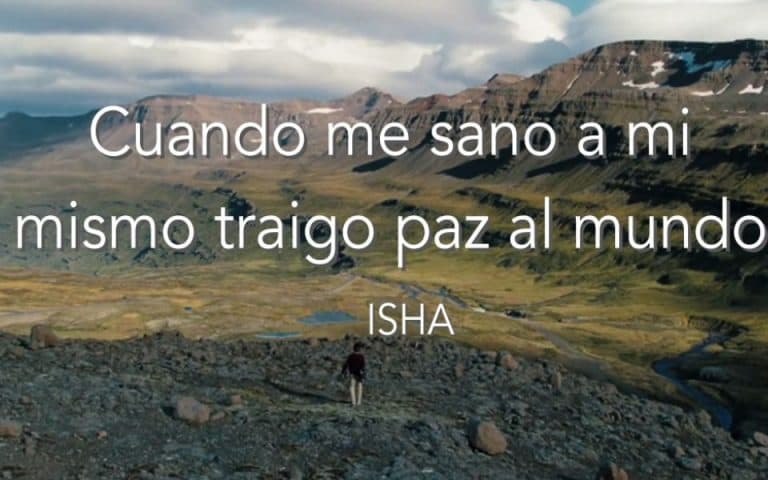 Frase del día