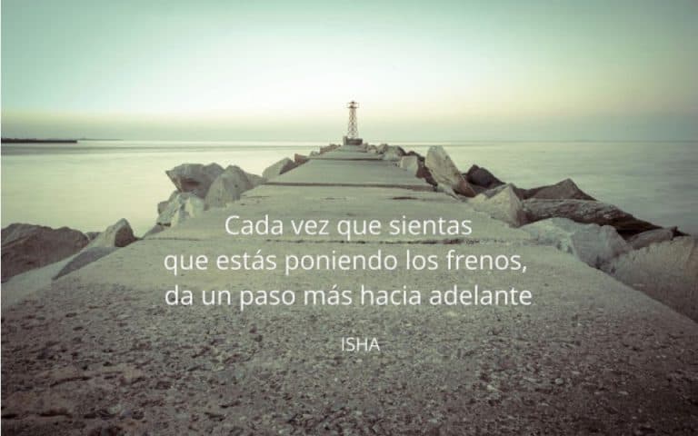 Frase del día
