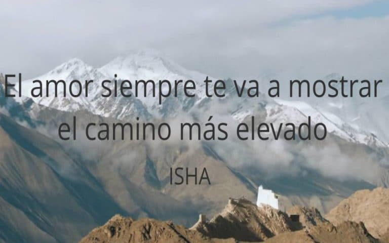 Frase del día 314