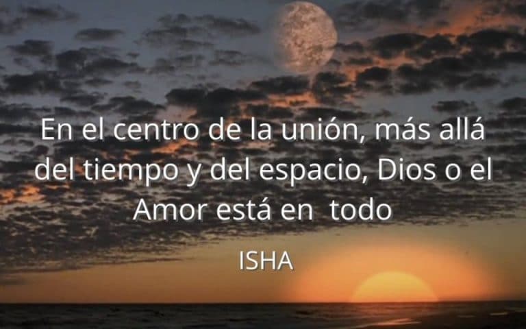 Frase del día
