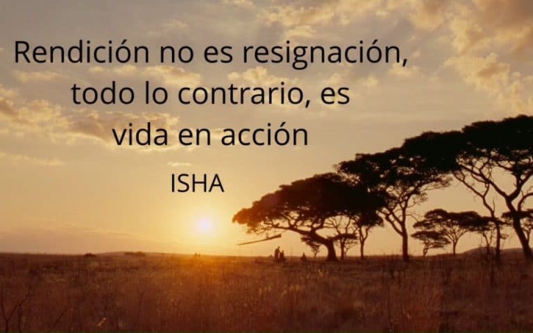 Frase del día