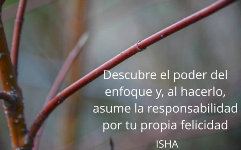 Frase del día
