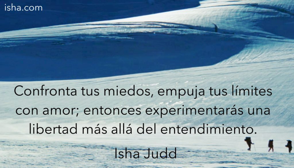 Frase del día