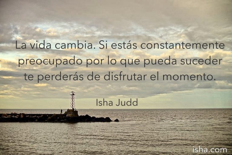 Frase del día