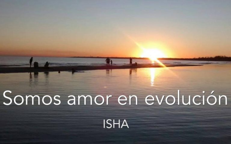 Frase del día