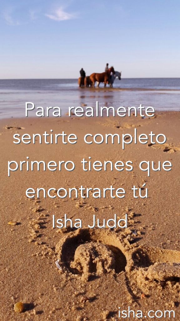 Frase del día
