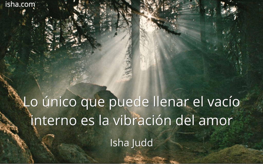 Frase del día