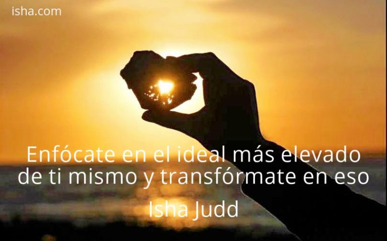 Frase del día