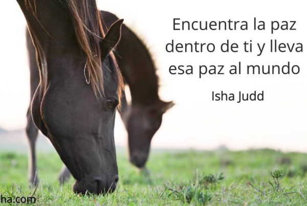 Frase del día