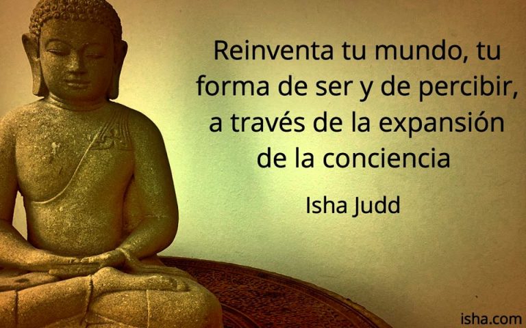 Frase del día