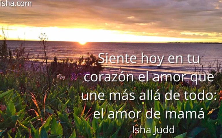 Frase del día