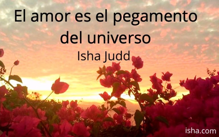 Frase del día