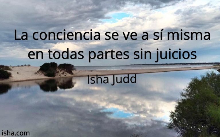Frase del día