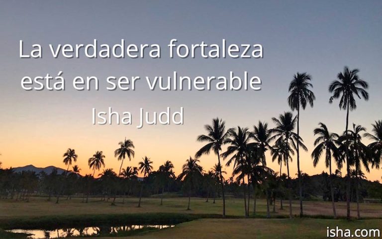 Frase del día