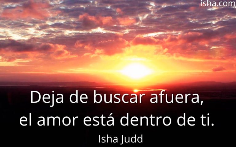 Frase del día