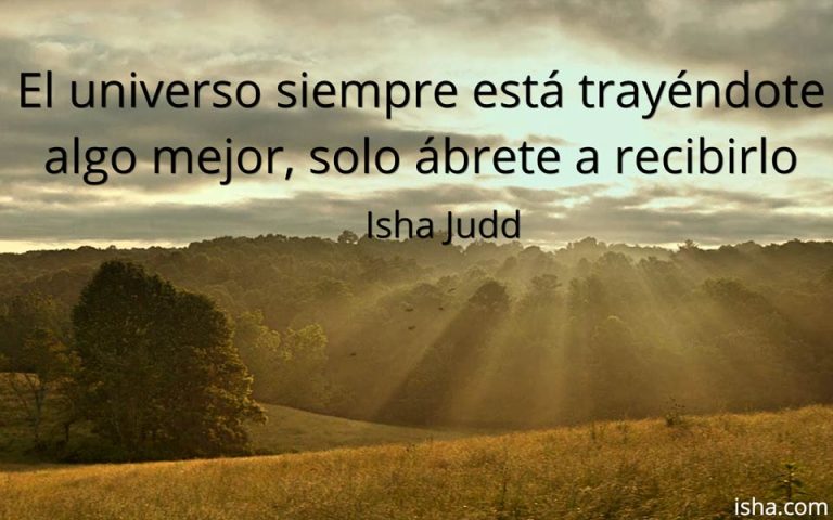 Frase del día