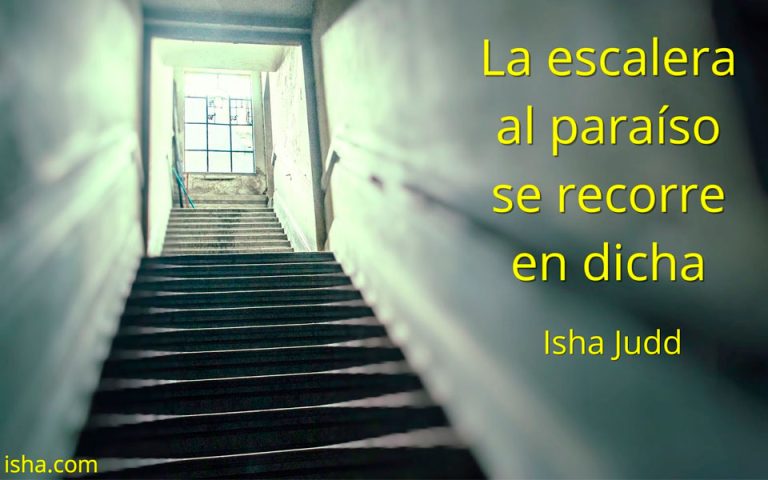 Frase del día