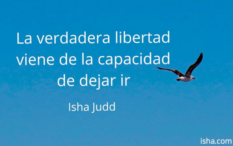 Frase del día