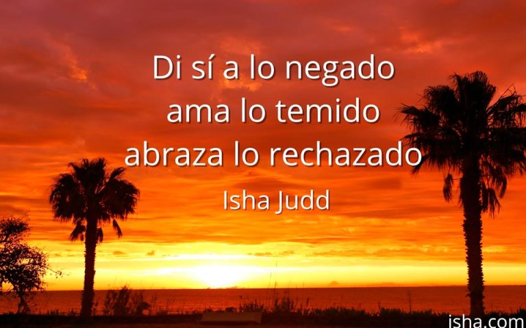 Frase del día