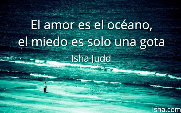 Frase del día