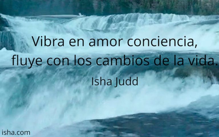 Frase del día
