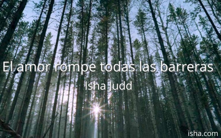 Frase del día
