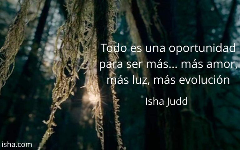 Frase del día