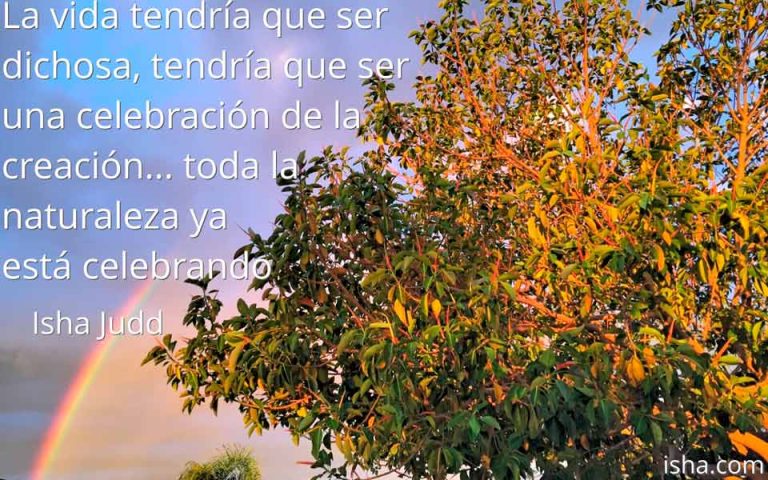 Frase del día