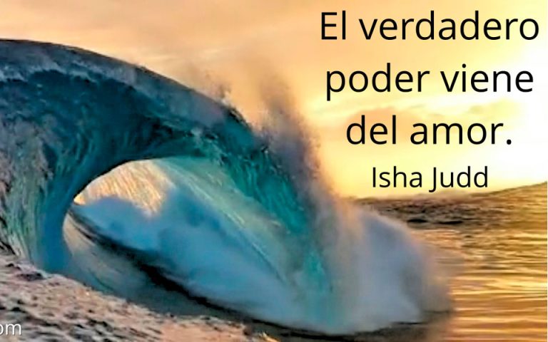 Frase del día