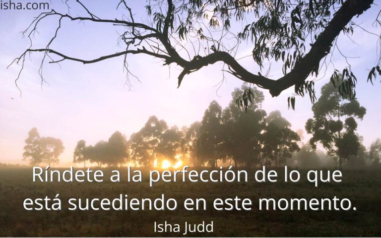 Frase del día