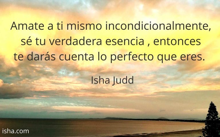 Frase del día