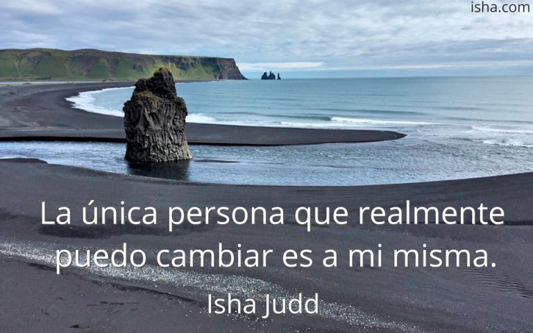 Frase del día