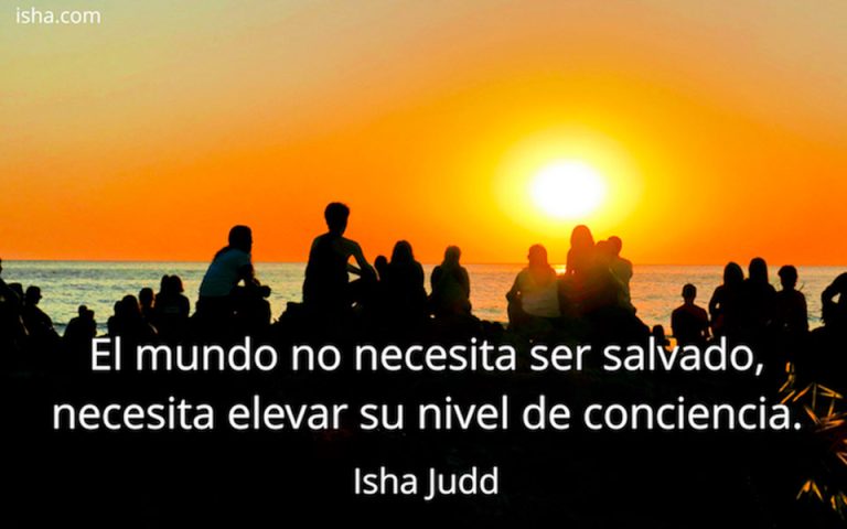Frase del día