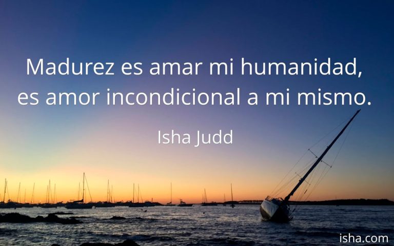 Frase del día