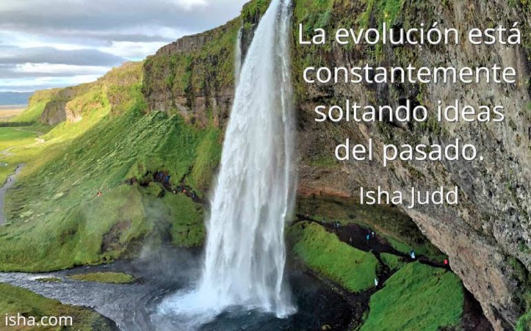Frase del día