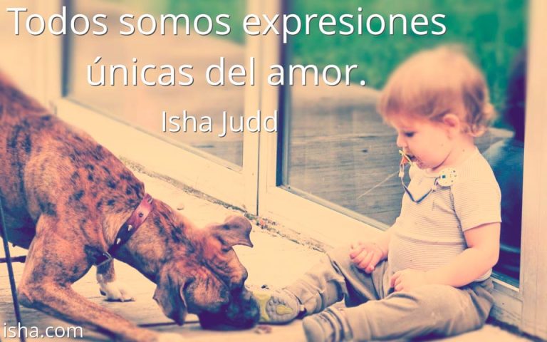Frase del día