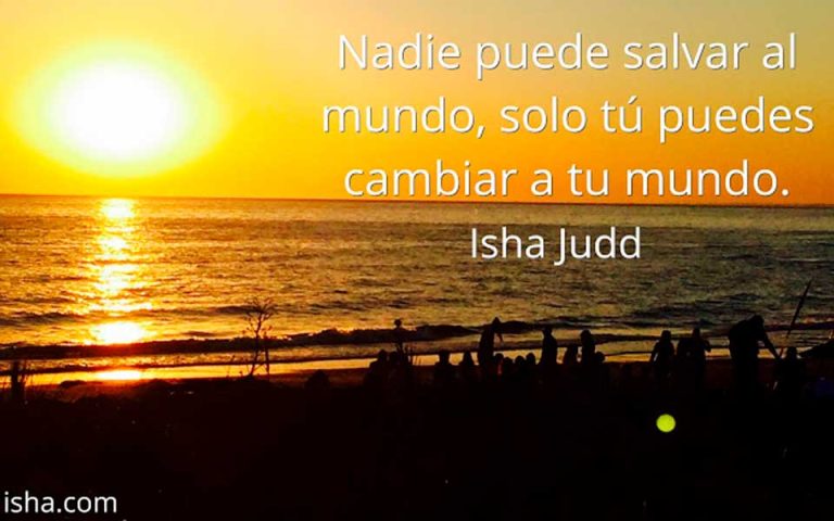 Frase del día